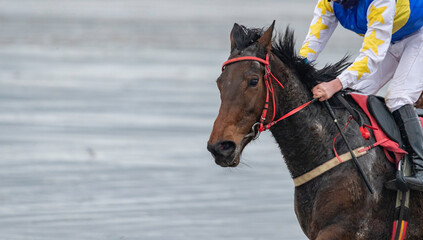Close up on race horse and jockey running on the beach