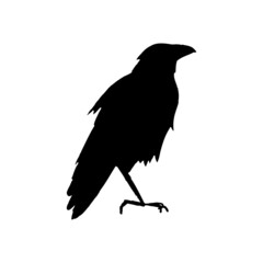 Black vector crow silhouette. Spooky bird for halloween decoration, print, poster, sticker, web design, cut machine