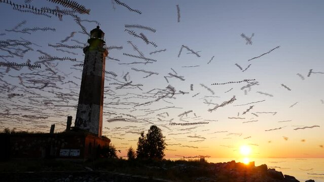 Many seagulls circle over old lighthouse at sunset, the picture is like in a nightmare. The effect of silhouettes-traces from flying birds. Bright setting sun shines low over horizon