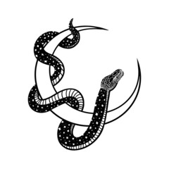Abstract magic illustration with celestial snake and the moon. Vector illustration isolated on white background. Boho trendy esoteric serpent symbol for tattoo, poster print, fashion, fabric, textile