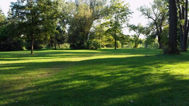 Moody POV shot, flying low over green grass at an empty park on a beautiful summer day, tranquil scene, nature background.