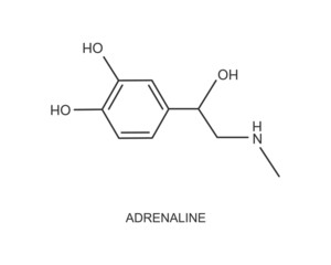 Adrenaline icon. Epinephrine hormone produced by the adrenal gland. Chemical molecular structure. Vector outline illustration.