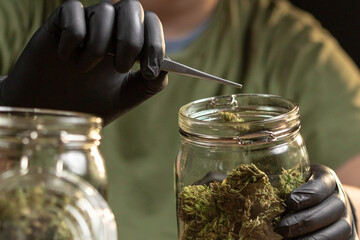 Gloved hands, putting trimmed CBD hemp flower weed buds in a storage glass jar, using tweezers.