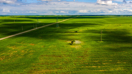 View from above. Power lines stand in a green field.