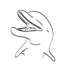 closeup smiling dolphin illustration vector hand drawn isolated on white background line art.