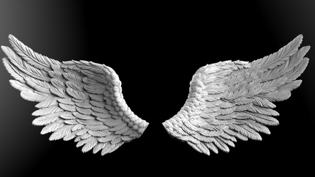 White wings under black-white lighting background. Concept image of free activity, decision without regret and strategic action. 3D CG. 3D illustration.