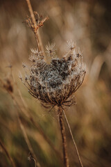 autumn time