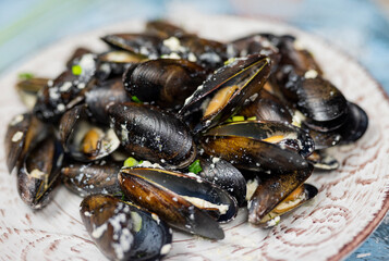 sea ​​mussels clams in a creamy sauce in a plate close-up