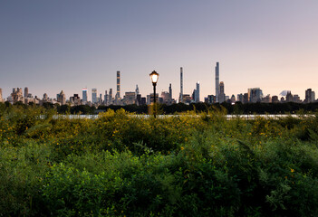 Central Park Skyline