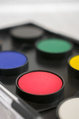 Close up on red watercolor chalk in a case with others of a different colors. Vertical