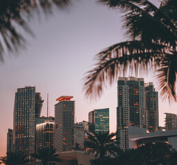 Fototapeta na wymiar city skyline at night sunset downtown miami palms skyscrapers travel beautiful 