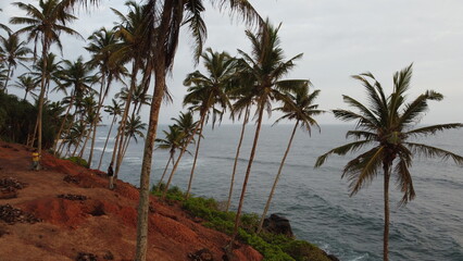 Fototapeta na wymiar coconut island mirisa