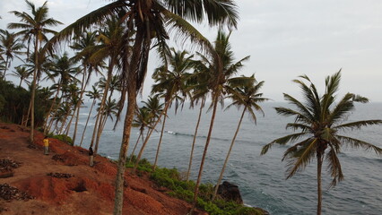 coconut island mirisa