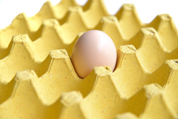 eggs in a box