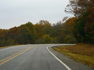 Colorful trees along a paved road in autumn
