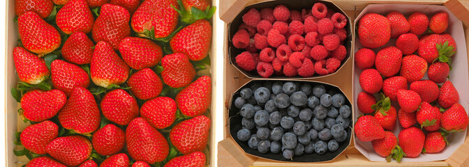 berry banner.berry box .Strawberries, raspberries, blueberries.Summer berry harvest. 