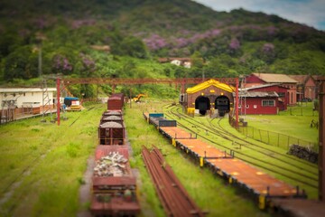 train on the railway