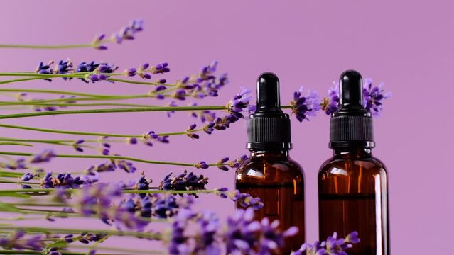 Lavender essential oil. Aromatherapy and massage.Essence with lavender scent. Brown glass bottles of essential oil and lavender flowers on a purple background.Cosmetics with lavender extract. 