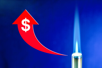  Gas, price increase concept. Blue gas flame and up arrow with dollar sign.