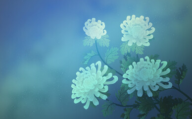 chrysanthemum white oriental style illustration wallpapers starry sky blue  국화 사군자 배경화면