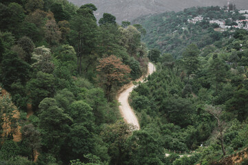 paisaje, camino, ruta, arboles, bosque, guatemala, latinoamerica