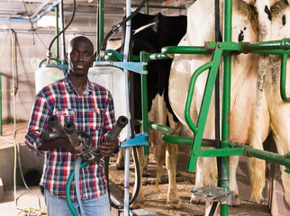 Farmer young man working with automatical cow milking machines
