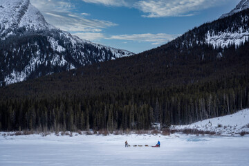 A dog sled team crossing the Spray Lakes in Peter Lougheed Provincial Park Alberta Canada