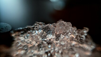 frog on the stone