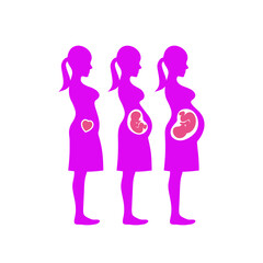 illustration of pregnant, mother icon, vector art.