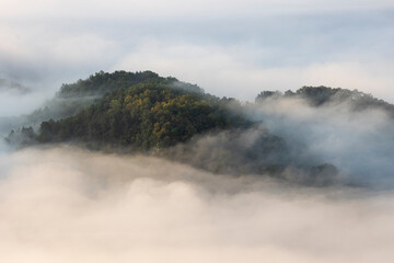 Mountains in Fog