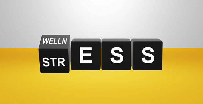 word STRESS and WELLNESS on  cubes. 3D Rendering