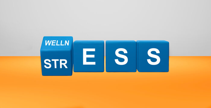 word STRESS and WELLNESS on  cubes. 3D Rendering