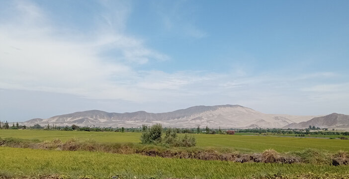 Sembrios