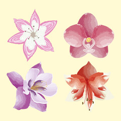 four exotics flowers icons