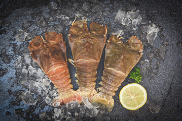 Raw flathead lobster shrimps on ice, fresh slipper lobster flathead for cooking on dark background...