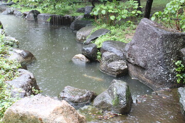 日本庭園と雨