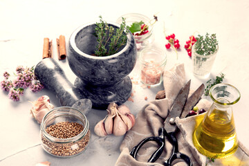 Herbs on light light background.
