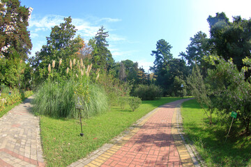View of the alleys in the Arboretum park