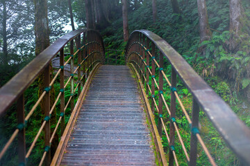 Taiwan, Yilan County, Taiping Mountain, Jianqing Ancient Road, trail, bridge crossing the river