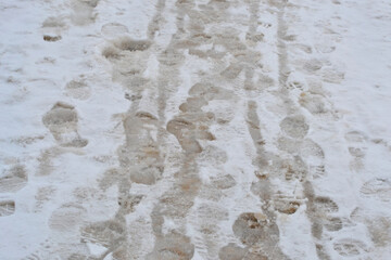 Fototapeta premium Footprints in slush on a city sidewalk after a snowstorm viewed at surface level