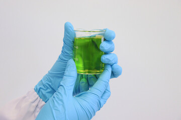 The scientist holds green solutions in beaker with nitrile gloves for protecting hands, food...