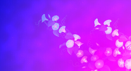 Naklejka na ściany i meble morning glory flower vector illustration hd wallpapers emotional background pink 나팔꽃 고화질 배경화면
