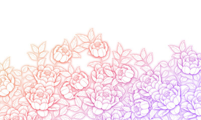 emotional background flower illustration peony white 감성배경 모란