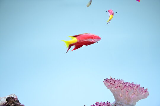 水族館