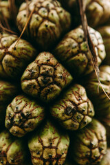 Palm Fruit close up