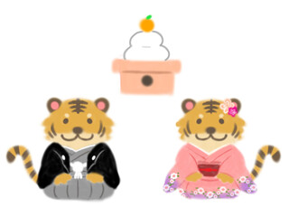 着物のトラと鏡餅
