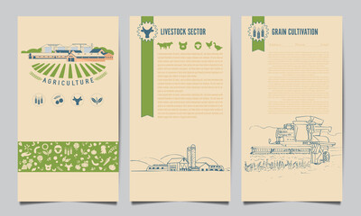 Fototapeta na wymiar A set of agricultural leaflets, flyers, brochures with a combine harvester harvesting wheat, an eco farm. Template of flyers for the agricultural industry