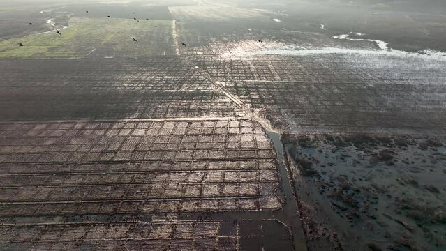 Huge damage of flood from Strong wind and heavy summer storm. Climate change create strong storm destroy farmer's crop plant.