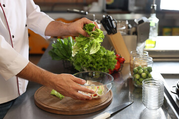Professional chef making salad in restaurant kitchen, closeup