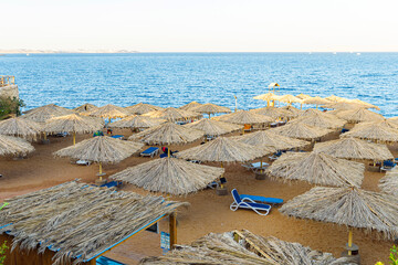 sand beach with beach chairs and white straw umbrellas in tropical resort in Red Sea coast in Sharm...